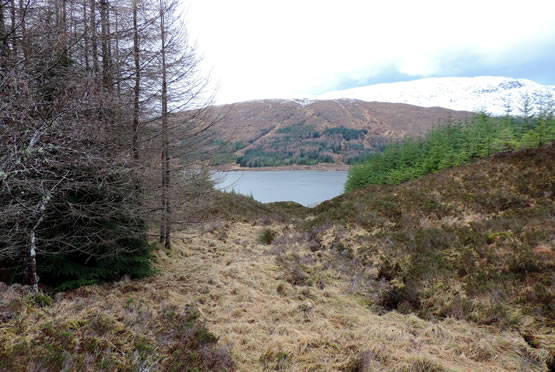 Highland Titles Nature Reserve Mountainview Estate